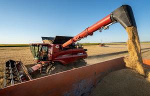 Cinci state din estul Europei au primit acordul Bruxelles-ul pentru a interzice importurile de cereale din Ucraina. Ce poziție adoptă România