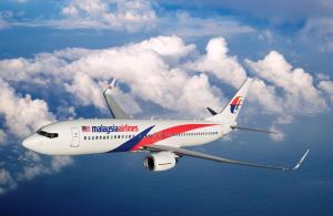 UPDATE: Avionul companiei Malaysia Airlines doborât în Ucraina a fost lovit de o rachetă rusească