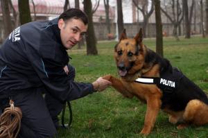 Piroman prins de un CÂINE POLIŢIST! Bărbat care ar fi dat foc unei case la Bacău, identificat de câinele de urmă Nero (FOTO)