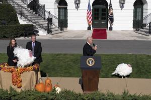 Preşedintele Joe Biden a graţiat doi curcani de Ziua Recunoştinţei, pe Chocolate și Chip