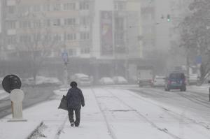Prima ninsoare în București. În nordul Capitalei a nins ca-n povești, în timp ce în Sectorul 4 nu a căzut niciun fulg