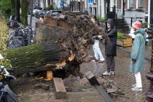 Furtuna Poly a făcut prăpăd în Olanda: un mort, pagube uriaşe şi sute de zboruri anulate. Rafalele de vânt au atins 145 km pe oră