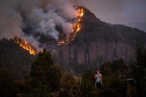 Incendiile din Tenerife. Infernul flăcărilor se extinde către nordul insulei. Guvernul a avertizat populaţia asupra poluării cu gaze şi particule