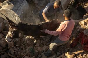Cutremurul din Maroc, bilanţ înfiorător: peste 2.000 de morţi. Localnicii şi-au văzut persoanele dragi îngropate de vii sub dărâmături: "A început să tremure tot"
