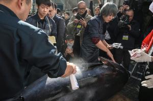 Ton uriaş, vândut cu 720.000 de euro la o licitaţie de peşte din Japonia