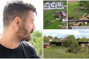 Emilian a dat 120.000 de euro pentru o vilă într-un cartier rezidenţial de lângă Bucureşti. S-a trezit însă înconjurat de oi. "Cine a fost mai întâi: stâna sau casa?"