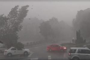 Jumătate de țară, inclusiv București, sub cod galben de ploi, grindină și vijelii, în următoarele ore. Vreme severă în 26 de județe până la noapte
