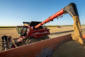 Cinci state din estul Europei au primit acordul Bruxelles-ul pentru a interzice importurile de cereale din Ucraina. Ce poziție adoptă România