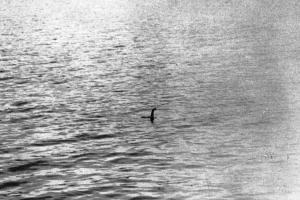 A fost relansată vânătoarea "monstrului din Loch Ness". Cum speră acum cercetătorii și entuziaștii să facă marea descoperire