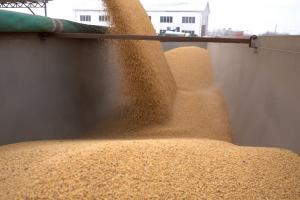 Ultima zi în care România aşteaptă planul Ucrainei cu privire la controlul exportului de cereale, după ce Comisia Europeană a ridicat restricţiile