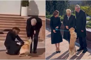 Codruţ, câinele Maiei Sandu, l-a muşcat pe preşedintele Austriei, aflat în vizită în Republica Moldova