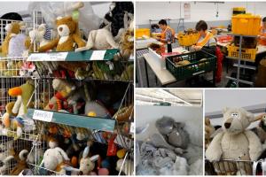 Atelierul lui Moș Crăciun din Harghita: 400.000 de jucării şi sute de modele prind formă anual în această fabrică. Comenzile de Crăciun au început din septembrie