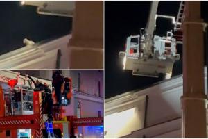 Misiune de salvare inedită. Pompierii, chemaţi să salveze o pisică de pe acoperişul Teatrului din Botoșani