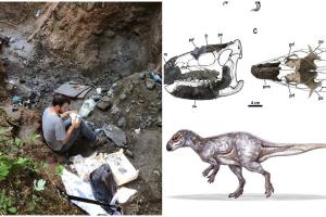 Fosile de dinozauri unice în lume, descoperite în Hunedoara. Rămăşiţele sunt vechi de peste 70 de milioane de ani
