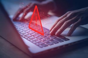 Val de atacuri cibernetice în România. Site-ul DNSC a fost atacat de hackeri, noaptea trecută