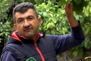 Fructele româneşti care s-au copt mai devreme şi vor fi mai ieftine în tarabe. Producătorii sunt fericiţi: "Ne-a surprins"