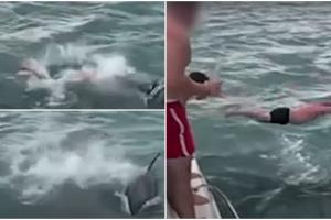 Momentul în care un bărbat din Noua Zeelandă sare de pe o barcă peste o orcă. "Am atins-o, ai filmat?"