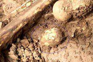Ou de găină vechi de 2.000 de ani, descoperit într-un mormânt antic