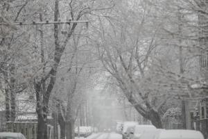 Prima ninsoare în București. În nordul Capitalei a nins ca-n povești, în timp ce în Sectorul 4 nu a căzut niciun fulg