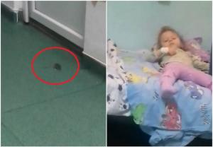 Spital invadat de şoareci, la Craiova! Animalele umbă nestingherite prin saloane, la câţiva metri de copiii bolnavi (Video)
