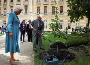Regele Charles şi regina consoartă, primiţi cu flori şi urale la Bordeaux. Ce ţinută extravagantă a purtat Camilla