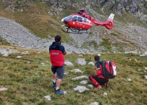 Bărbat muşcat de ureche de o viperă, în Parâng. Un elicopter SMURD l-a transportat de urgenţă de spitalul din Sibiu