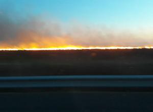 Incendiu puternic în apropierea Autostrăzii Soarelui! Cinci HECTARE de grâu au fost MISTUITE de flăcări - FOTO