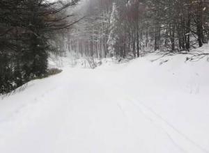 Ninge fără oprire de ore bune în România ! Şoselele au fost acoperite de un strat gros de zăpadă - FOTO/VIDEO