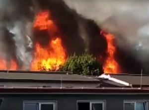 Reacția Ambasadei României la Praga după incendiul care a devastat un bloc în care locuiesc români, la Plzen (Video)