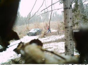 La furat de lemne cu BMW-ul! IMAGINI surprinse în pădurile din Muscel, acolo unde miercuri a fost prinsă o reţea de hoţi de lemne