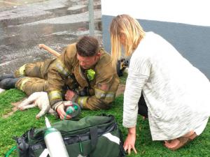 Momente EMOŢIONANTE în urma unui incendiu în SUA! Un pompier îi face respiraţie gură la gură unui căţel! Cazul aminteşte de eroul Mugurel Costcahe, românul care a ajuns la inimile tuturor