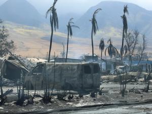 Numărul morţilor în urma incendiilor apocaliptice din Hawaii a trecut de 80. Incendiile de vegetaţie, cel mai mare dezastru din istoria recentă