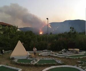 DEZASTRU în Zakynthos! Sute de hectare de pini sunt mistuite de flăcări, autorităţile cred că zecile de incendii sunt provocate intenţionat VIDEO