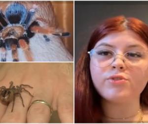 Tarantulele de companie, tot mai căutate în România. Cu cât se vinde un pui