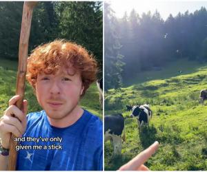 Reacţia unui american aflat în vacanţă în România, după ce s-a trezit pe o pajişte plină de vaci. Mi-au dat doar un băţ, trebuie să ducem vacile acasă