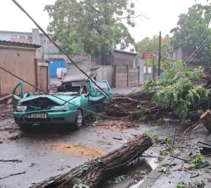 Bărbat din București, la un pas de moarte după ce un copac a strivit mașina în care se afla