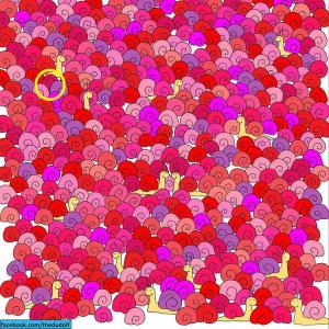 TEST de Ziua Îndrăgostiţilor: poţi găsi inima ascunsă în această mulţime de melci?