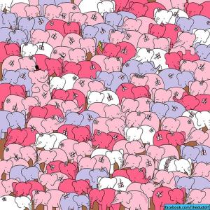 Test de Ziua Îndrăgostiţilor! Poţi găsi inima ascunsă în această turmă de elefanţi?