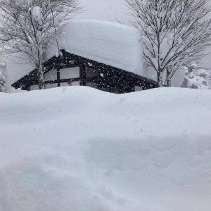 VIDEO: Imagini impresionante în Japonia. Ninsori abundente, în mai multe zone stratul de zăpadă depăşeşte 2 metri
