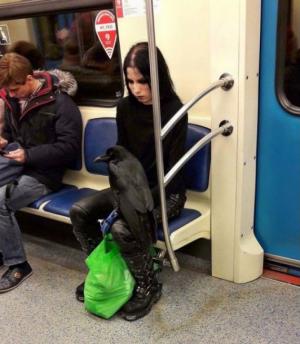 Cu ce animal de companie a urcat o femeie în metrou! Călătorii au fost ŞOCAŢI şi i-au făcut loc imediat, ÎNSPĂIMÂNTAŢI!