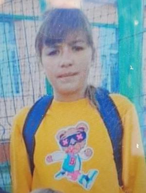 O fată de 13 ani din Neamț e dispărută de două zile, după ce a plecat cu animalele pe câmp. Joi seară, Luminița a fost văzută culegând flori la marginea unei păduri