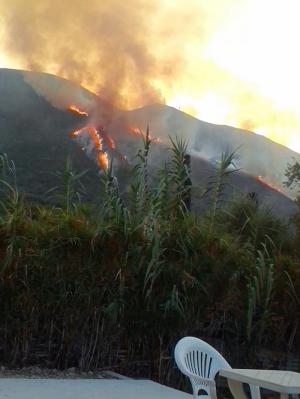 DEZASTRU în Zakynthos! Sute de hectare de pini sunt mistuite de flăcări, autorităţile cred că zecile de incendii sunt provocate intenţionat VIDEO
