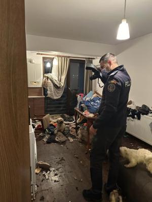 Mai mulţi câini şi o pisică, găsiţi în condiţii de groaznice, într-un apartament din Ilfov. Mirosul insuportabil şi gălăgia au alertat vecinii