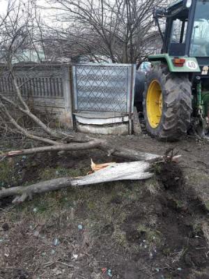 O fată de doar 14 ani, grav rănită după ce a cazut peste ea un copac în care intrase un tractor, în Teleorman