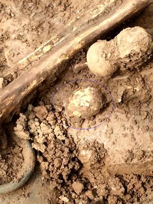 Ou de găină vechi de 2.000 de ani, descoperit într-un mormânt antic