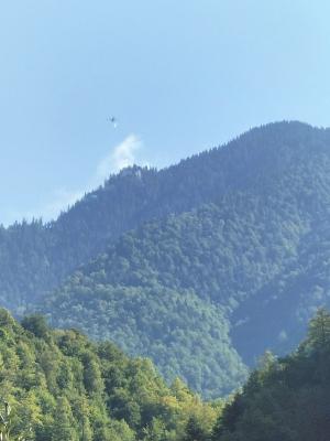 Intervenţie dificilă a pompierilor la 1400 de metri altitudine în Maramureş, după ce s-a aprins o zona forestieră
