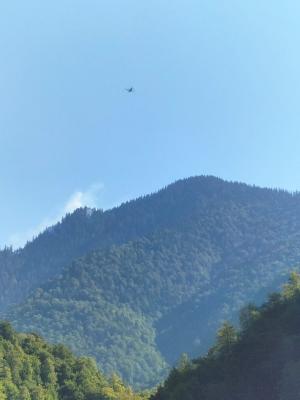 Intervenţie dificilă a pompierilor la 1400 de metri altitudine în Maramureş, după ce s-a aprins o zona forestieră