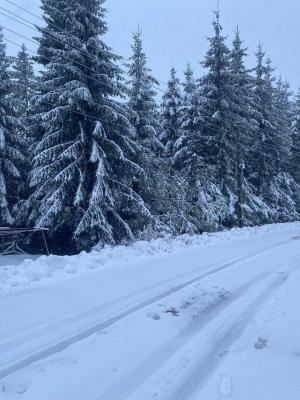 Ninsori abundente pe drumurile montane din Harghita. Imagini de basm cu prima zăpadă din judeţ de sezonul acesta