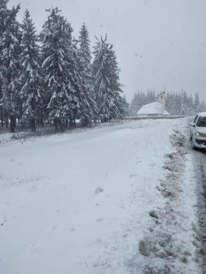 Zăpadă de jumătate de metru la munte. Mai mulți turiști au rămas blocați în stațiunea Padiș din Apuseni, după ninsorile puternice 