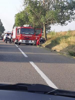 VW făcut praf într-un copac pe un drum din Bacău, trei tineri au murit pe loc. O fată de 23 de ani, singura supraviețuitoare
